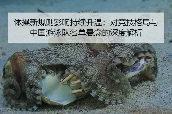 体操新规则影响持续升温：对竞技格局与中国游泳队名单悬念的深度解析